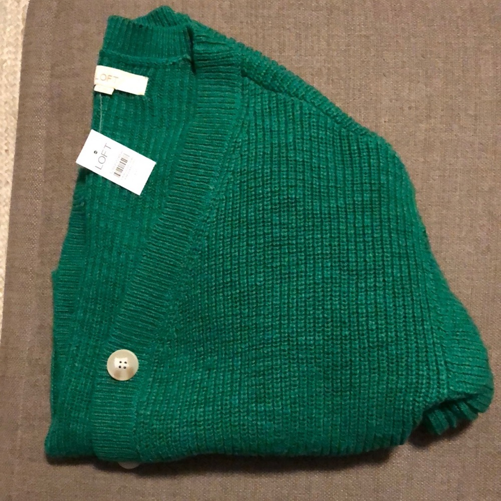 Ann Taylor Loft - green sweater purchased online - never worn. Size M.
